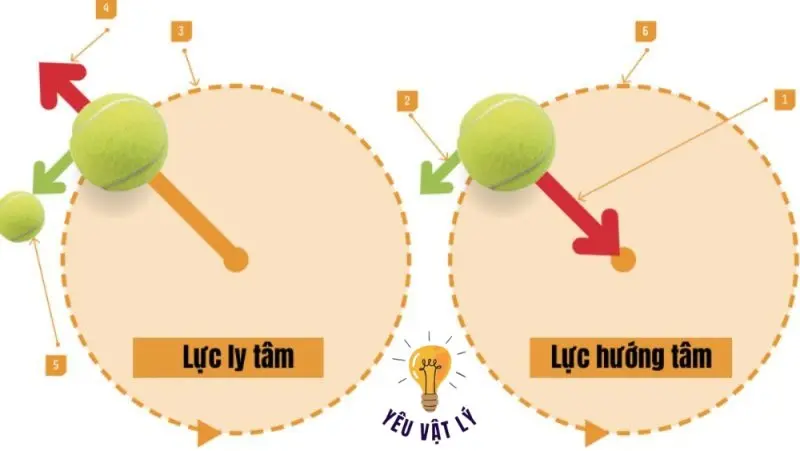 Tìm hiểu lực hướng tâm: Từ A đến Z cho học sinh