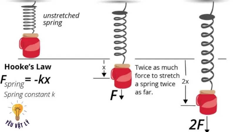 Lực đàn hồi là gì? Khái niệm, công thức, ứng dụng và ví dụ