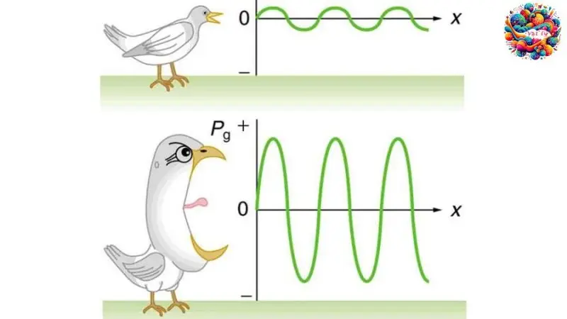 Độ to của âm là gì? Phân loại và cách đo độ to của âm