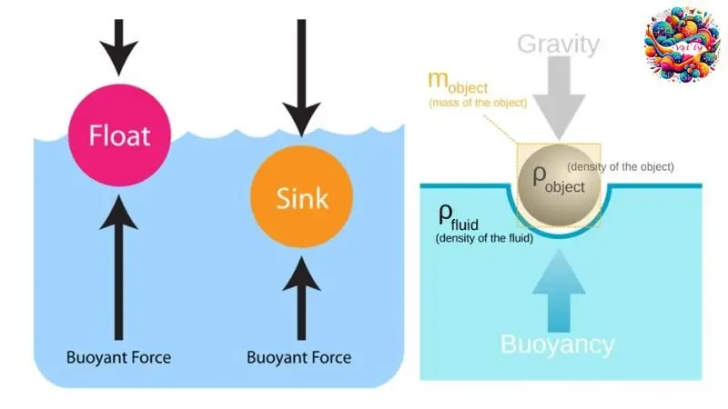 Khái niệm về sự nổi 