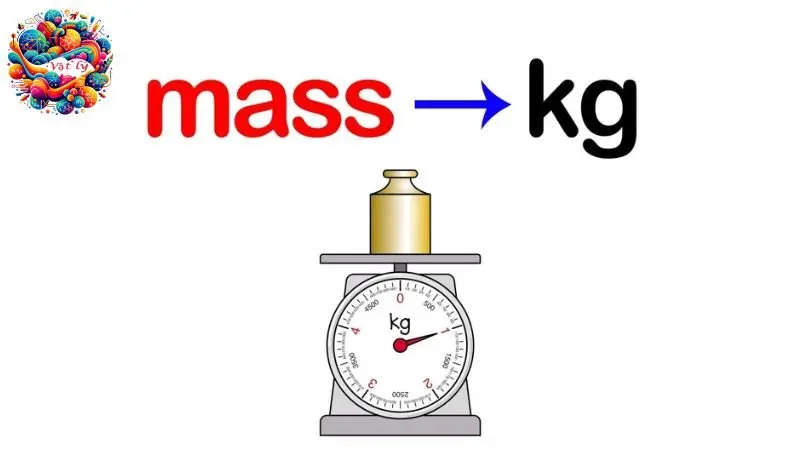 Tổng hợp kiến thức về “Khối lượng - Đo khối lượng” từ A-Z