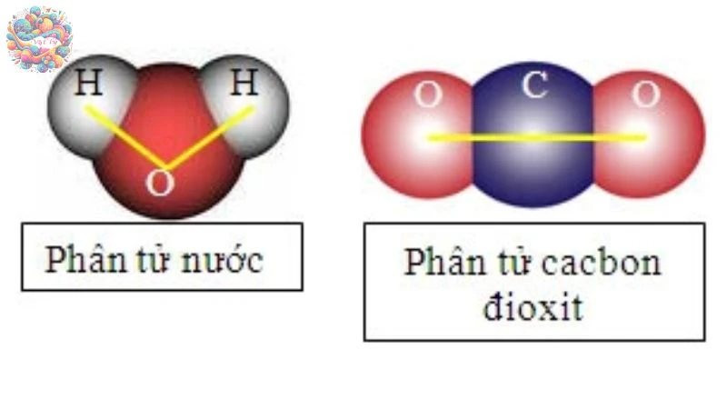 Cấu trúc của chất, sự chuyển thể - 2