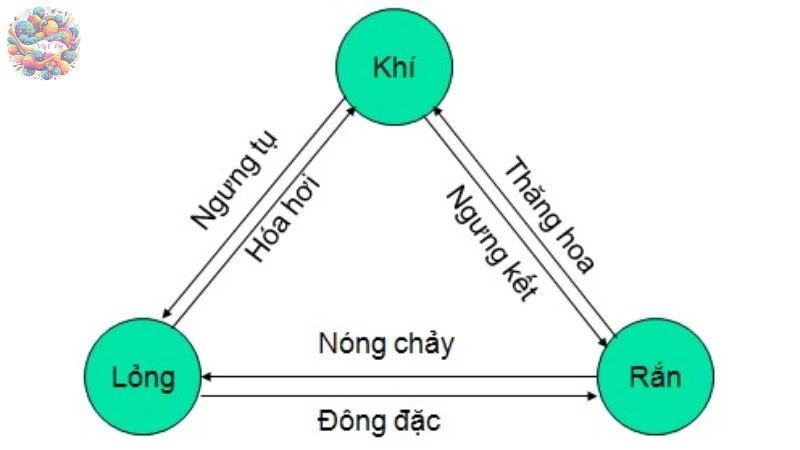 Cấu trúc của chất, sự chuyển thể - 5