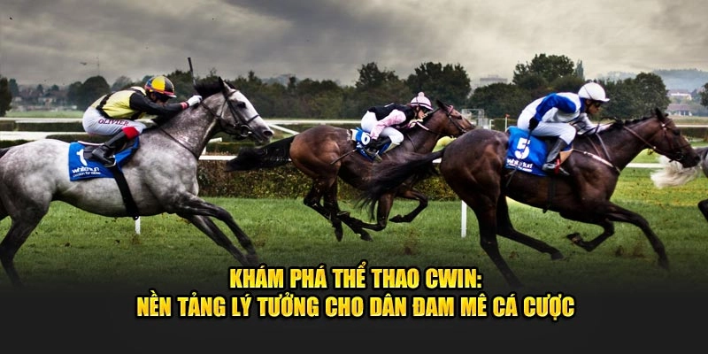 Khám phá thể thao Cwin: Nền tảng lý tưởng cho dân đam mê cá cược