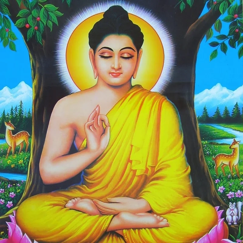 Cảm nhận sự bình yên qua ảnh phật thích ca ngồi thiền