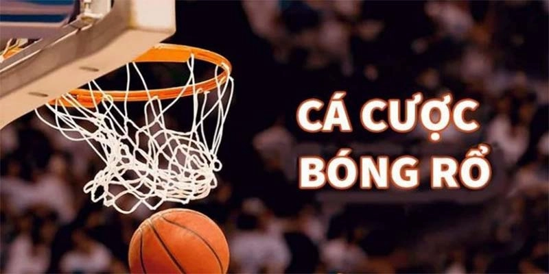 Cá cược bóng rổ - Những điều quan trọng cần biết