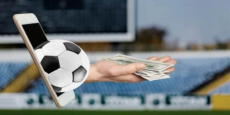 Tham khảo từ những người có chuyên môn