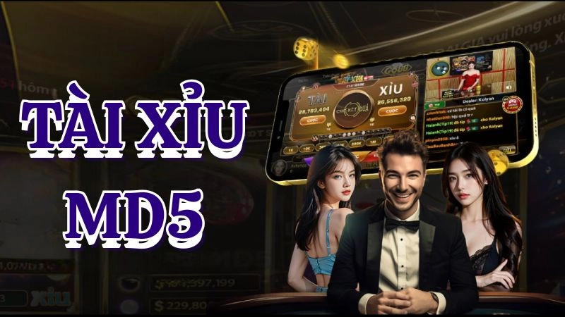 Thông tin cơ bản về Tài Xỉu MD5