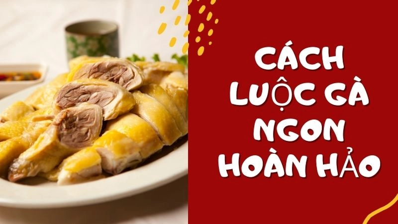 Bí quyết chọn gà tươi ngon phù hợp mọi loại 