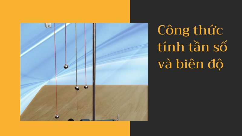 Mô hình con lắc lò xo minh họa cho dao động cơ học