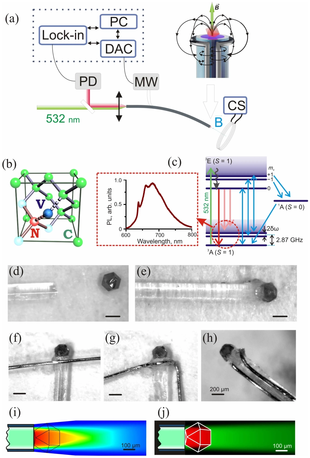 Electron độc thân và spin electron trong phân tử oxy