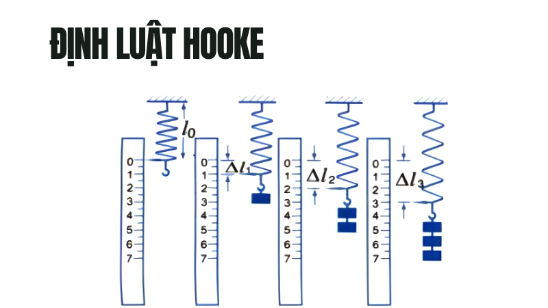 Hiểu nhanh định luật Hooke cực đơn giản