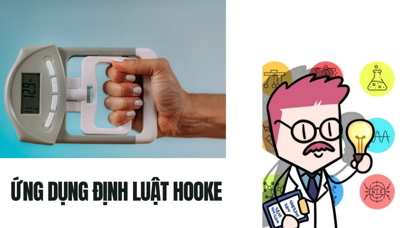 Ứng dụng định luật Hooke trong đời sống