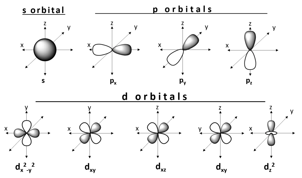 Sơ đồ mô hình orbital lai hóa sp trong liên kết hóa học của phân tử