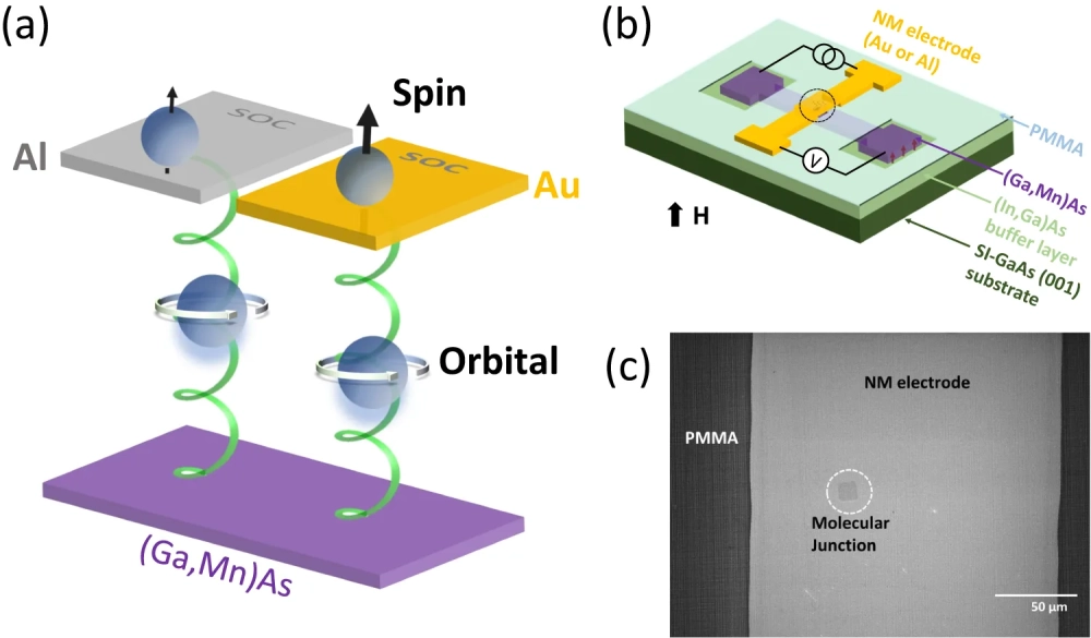 Tương tác spin-quỹ đạo spin electron trong nguyên tử hydro