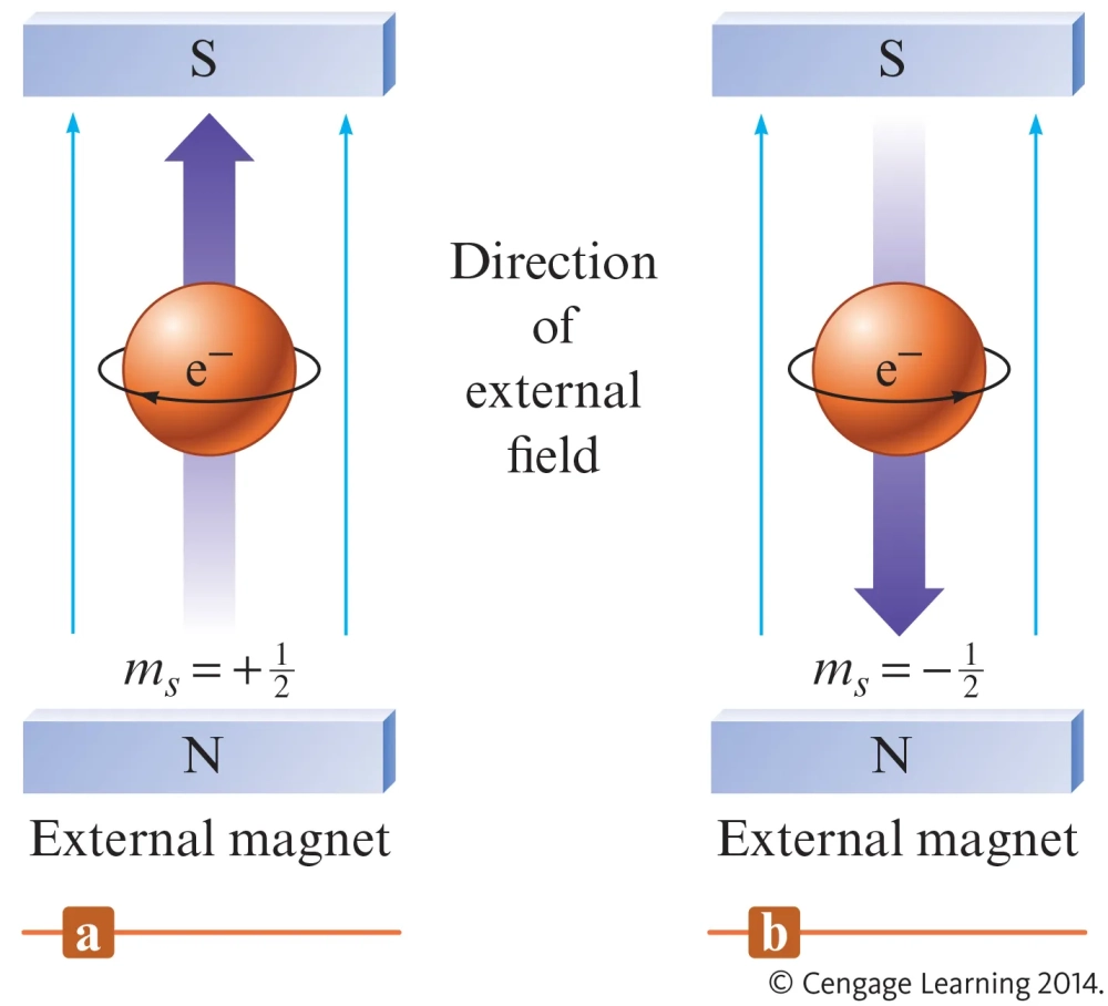 Hướng quay spin electron theo trạng thái lên và xuống