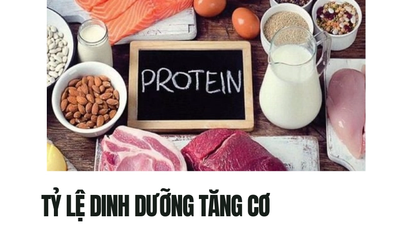 Tỷ lệ đạm và tinh bột hoàn hảo để tăng cơ giảm mỡ