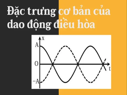 Hướng dẫn chi tiết các bài tập liên quan đến dao động điều hòa