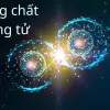 Hé lộ về chồng chất lượng tử làm đảo lộn tư duy con người