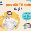 Bảng Nguyên Tử Khối Đầy Đủ Nhất Cho Năm 2026