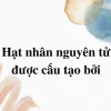 Các hạt cấu tạo nên hạt nhân nguyên tử là gì và vai trò của chúng