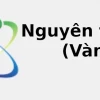 Khám phá Nguyên tử khối của vàng (Au) và ý nghĩa trong hóa học