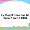 Khám phá Từ trường: Bài 19 KHTN 7 Chân trời sáng tạo và Kết nối tri thức