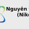 Niken: Tìm hiểu về Nguyên tử khối của Ni và các đặc tính