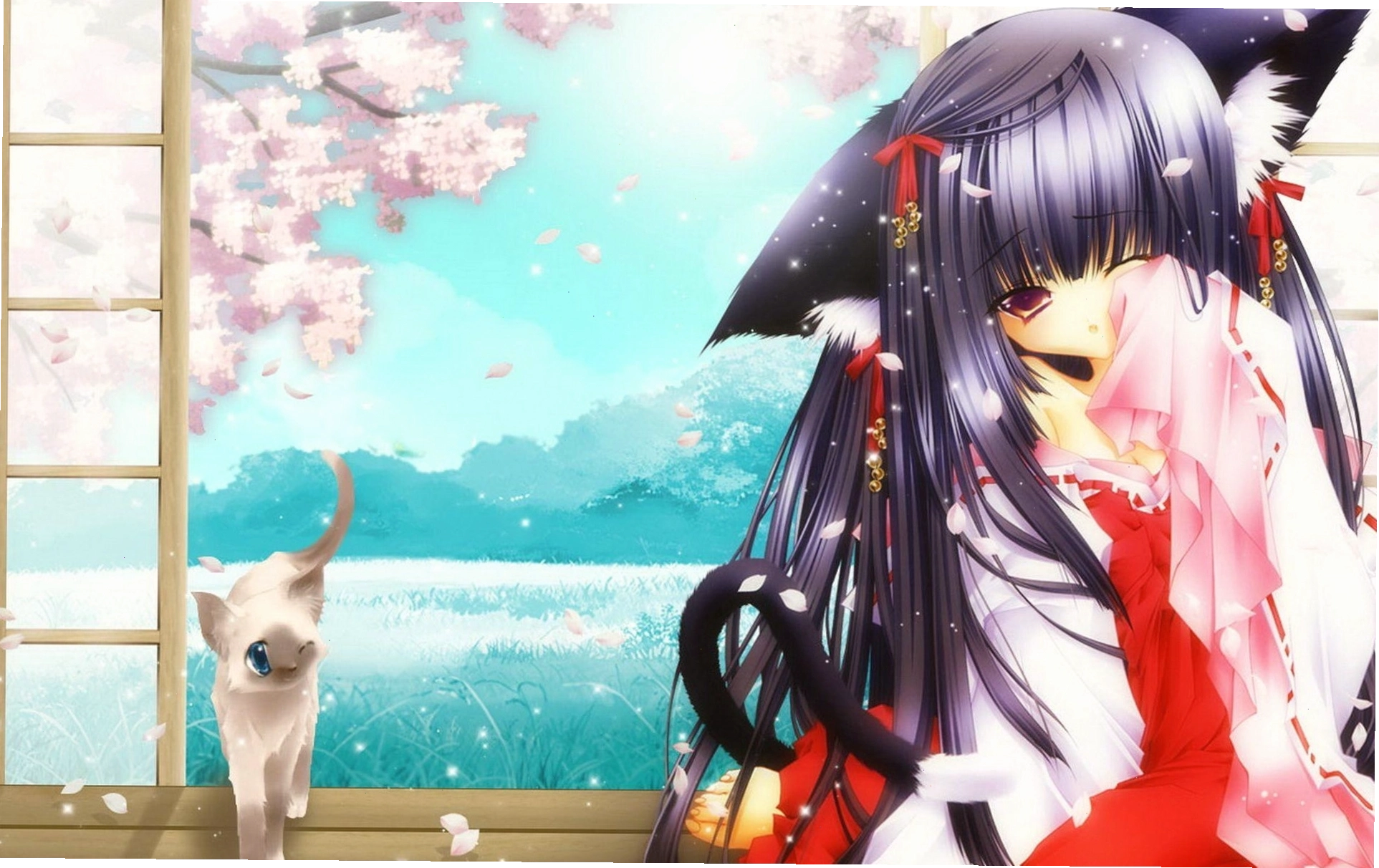Anime Cat Girl Wallpaper