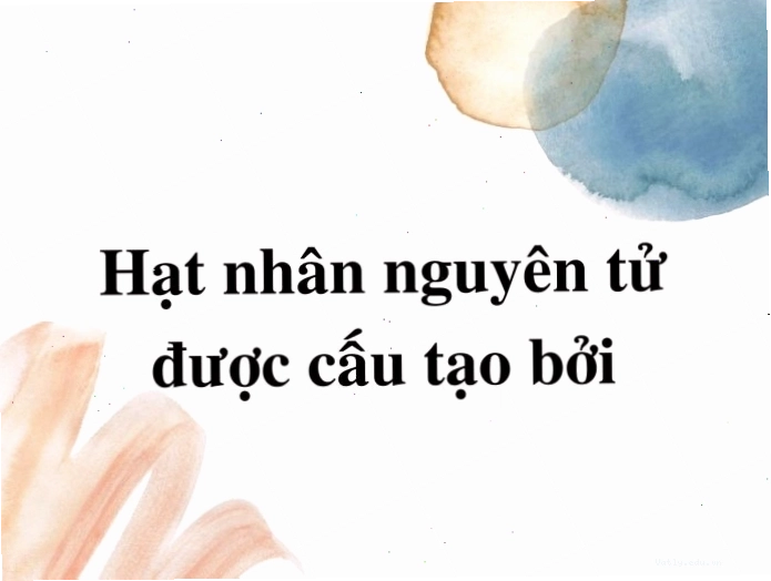 Biểu đồ so sánh số proton và neutron trong các hạt nhân nguyên tử