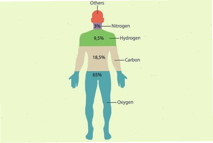 Carbon là nguyên tố trung tâm của mọi hợp chất hữu cơ, có vai trò thiết yếu cho sự sống