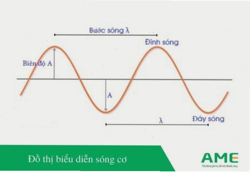 Đồ thị biểu diễn sóng cơ học là quá trình truyền dao động