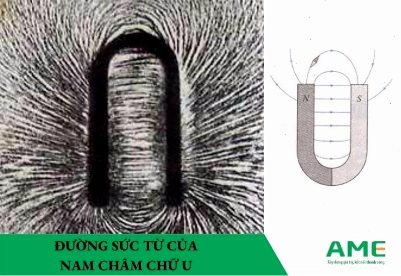 Đường sức từ của nam châm chữ U