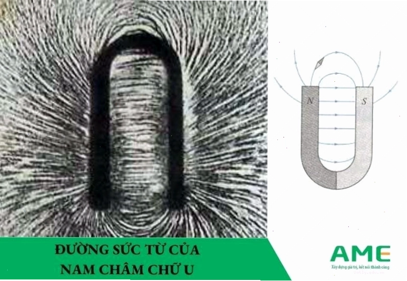 Đường sức từ của nam châm chữ U