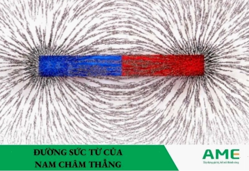 Hình ảnh đường sức từ của một nam châm thẳng
