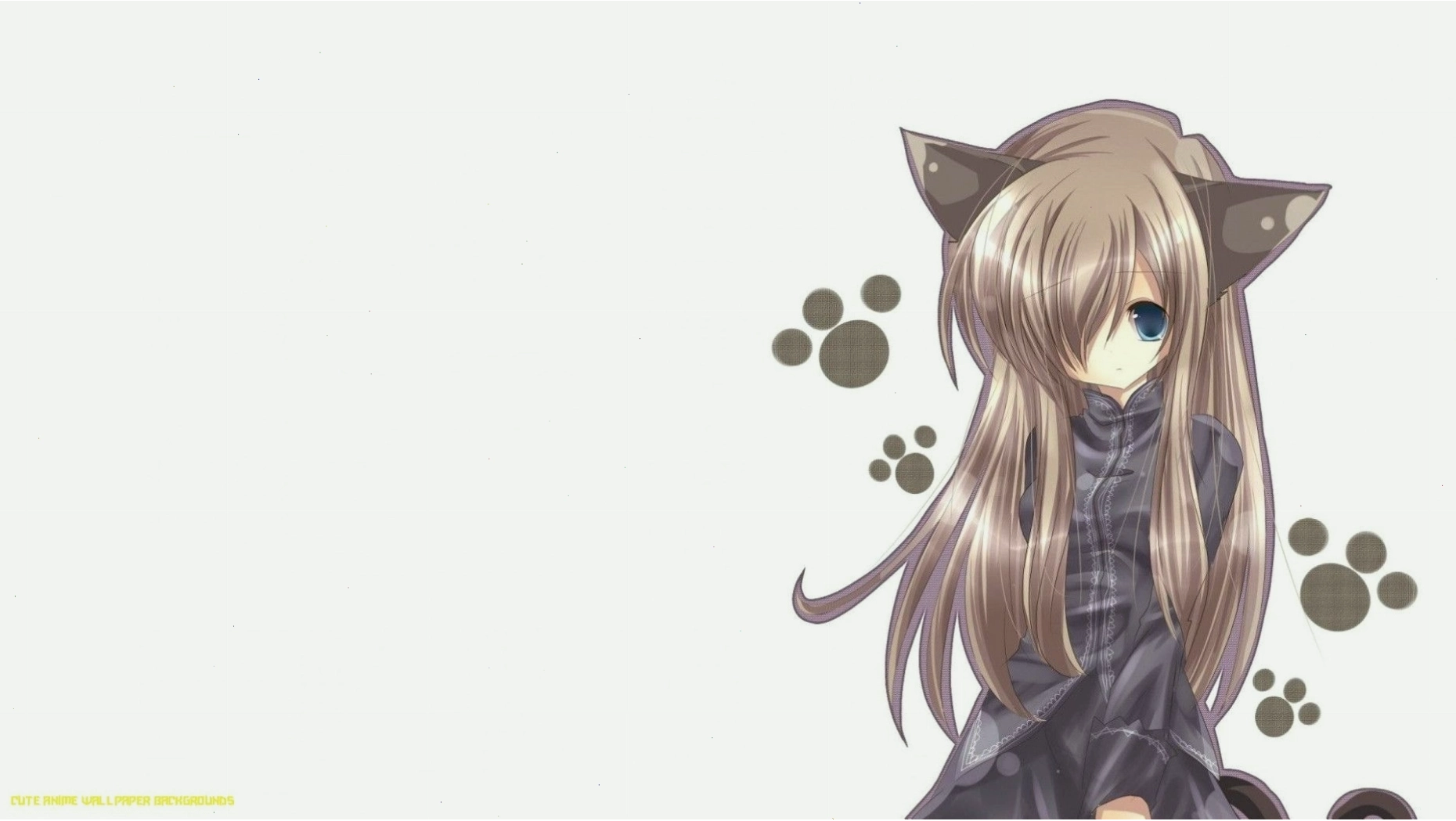 Hình nền anime cat girl với phong cách trẻ trung