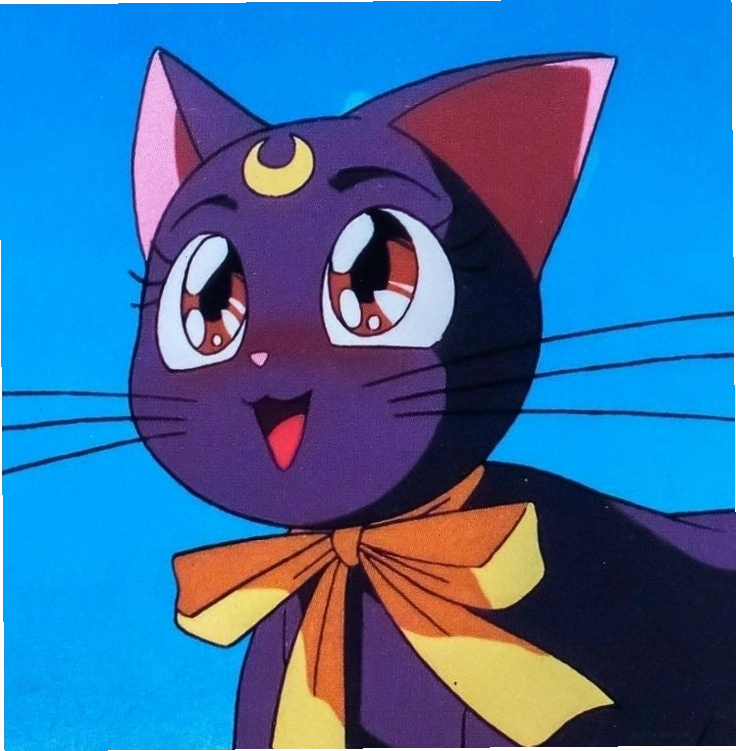Luna chú mèo đen từ bộ anime Thủy Thủ Mặt Trăng
