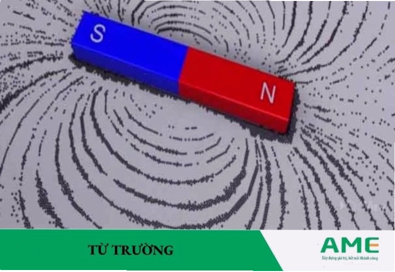 Minh họa các đường sức từ xung quanh một nam châm