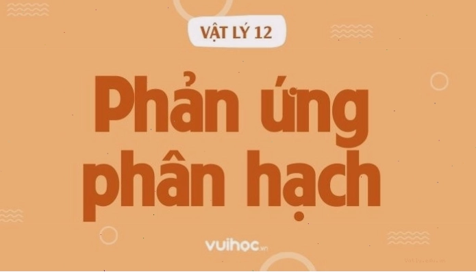 Minh họa cơ chế và đặc điểm của phản ứng phân hạch
