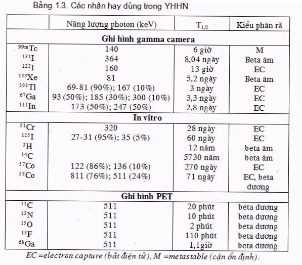 Minh họa phản ứng phân hạch hạt nhân Urani