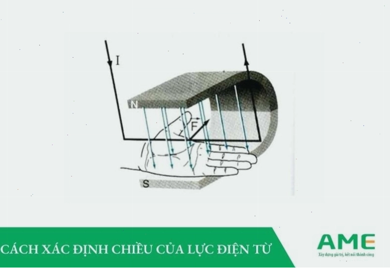 Minh họa quy tắc bàn tay trái xác định chiều lực điện từ