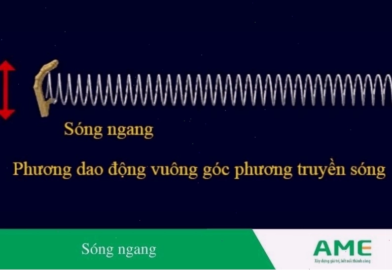 Minh họa sóng ngang