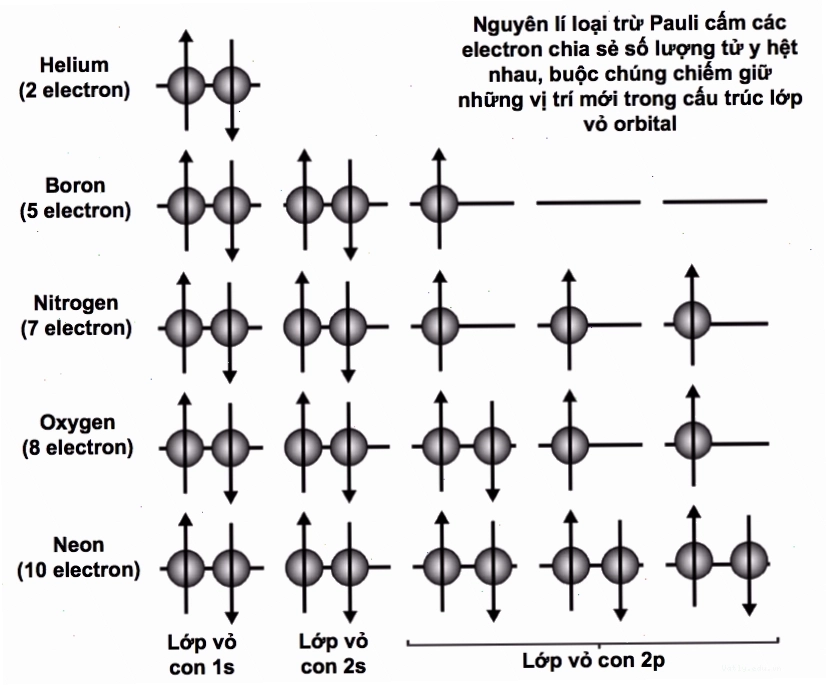 Nguyên lý loại trừ Pauli liên quan đến trạng thái lượng tử