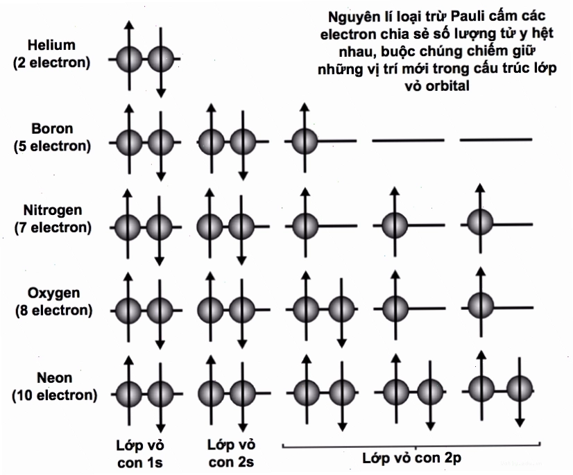 Nguyên lý loại trừ Pauli và sự liên quan đến chồng chất