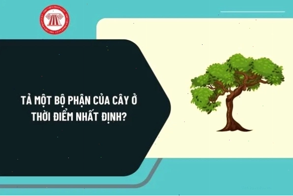 Nguyên tắc hoạt động của máy dò bức xạ