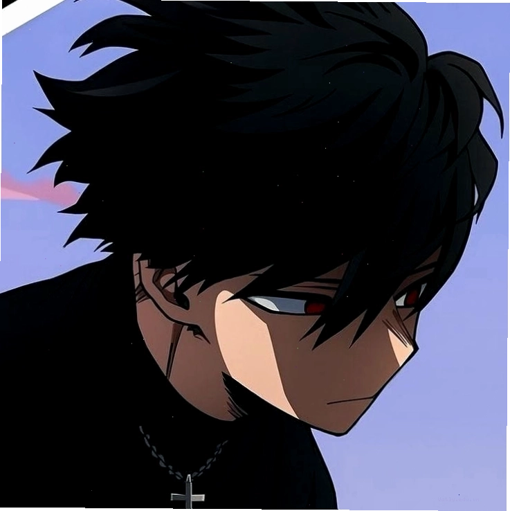 Pfp anime nhân vật Sung Jin Woo từ Solo Leveling