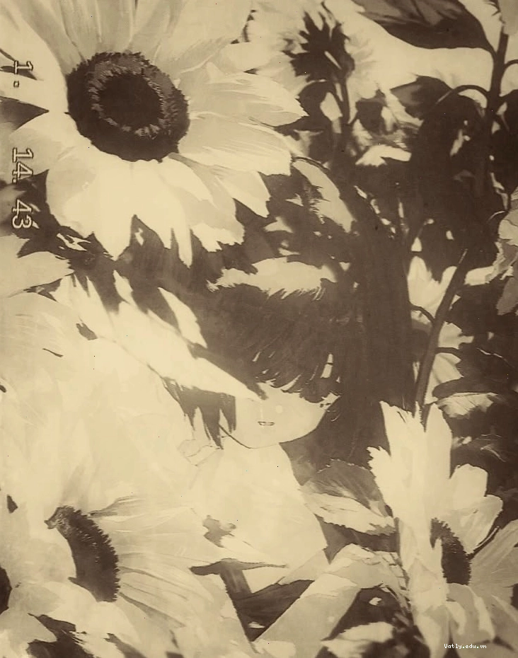 Pfp anime với tông màu sepia cổ điển
