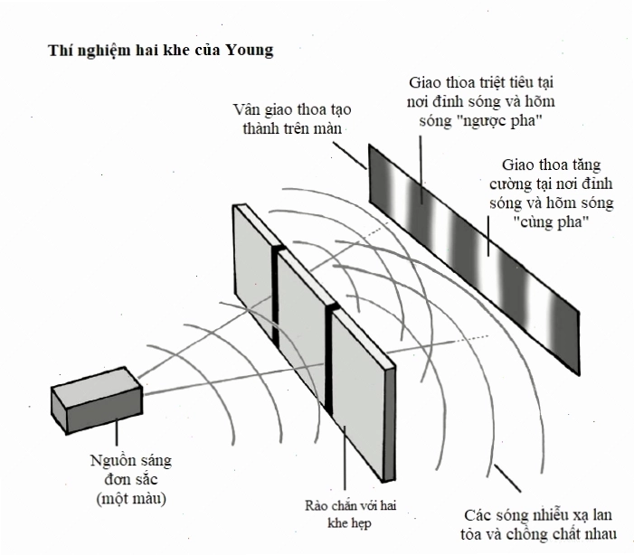 Thí nghiệm hai khe Young minh họa bản chất sóng của hạt