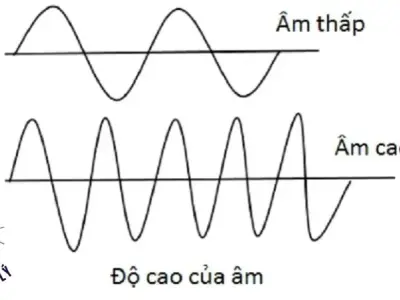 Khám phá Bí ẩn về đặc trưng sinh lí của âm