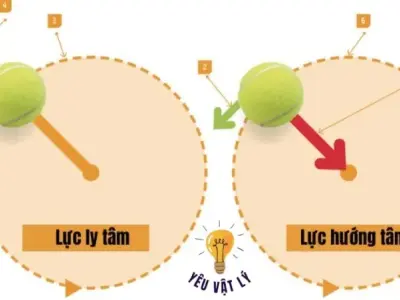 Tìm hiểu lực hướng tâm: Từ A đến Z cho học sinh